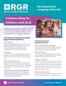 one-pager_collaborating-with-children-with-DLD_cover